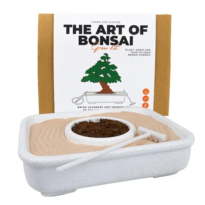 Kit para cultivar un Bonsái