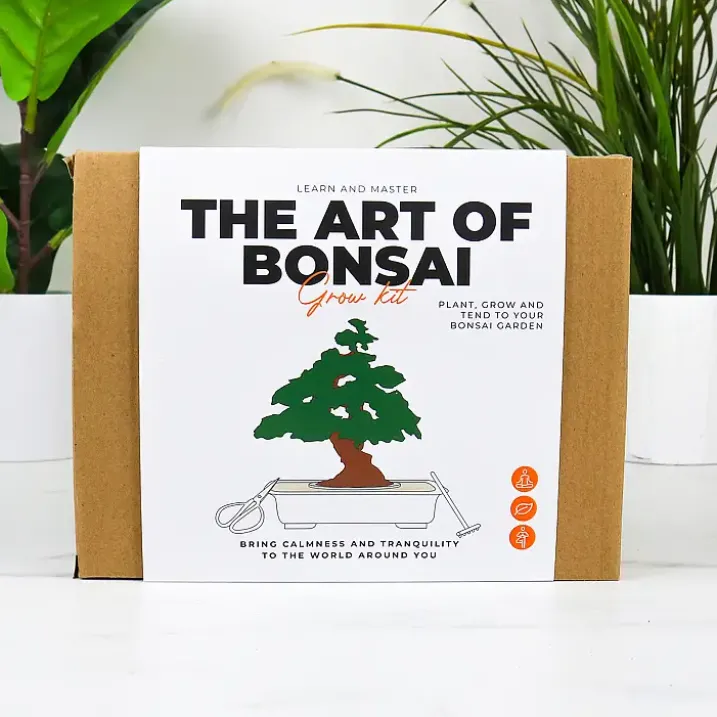 Kit para cultivar un Bonsái