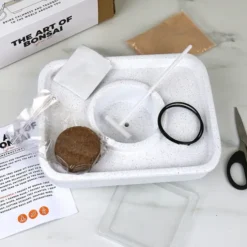 Kit para cultivar un Bonsái