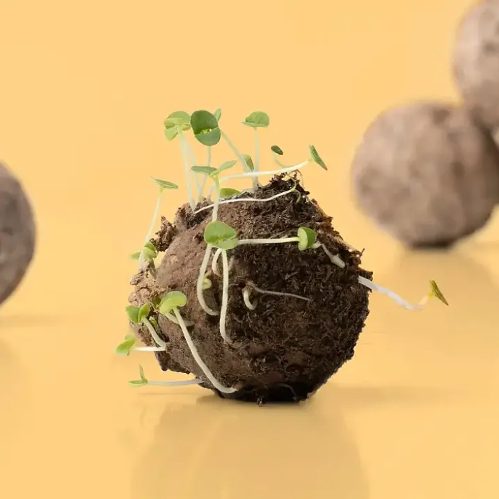 Kit para hacer bombas de semillas de flores