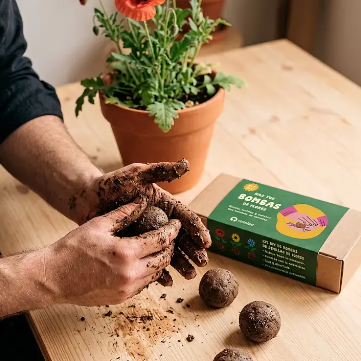 Kit para hacer bombas de semillas de flores