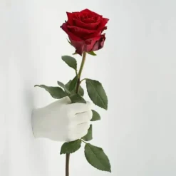 Kit para hacer una escultura 3D de 2 manos