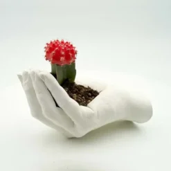 Kit para hacer una escultura 3D de 2 manos