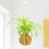 Kit para hacer una Kokedama