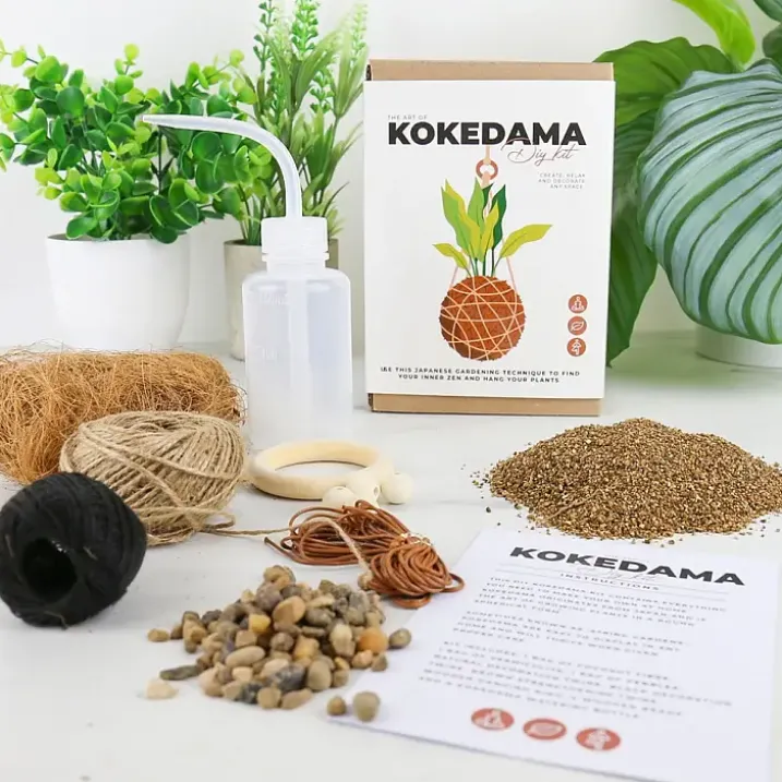 Kit para hacer una Kokedama