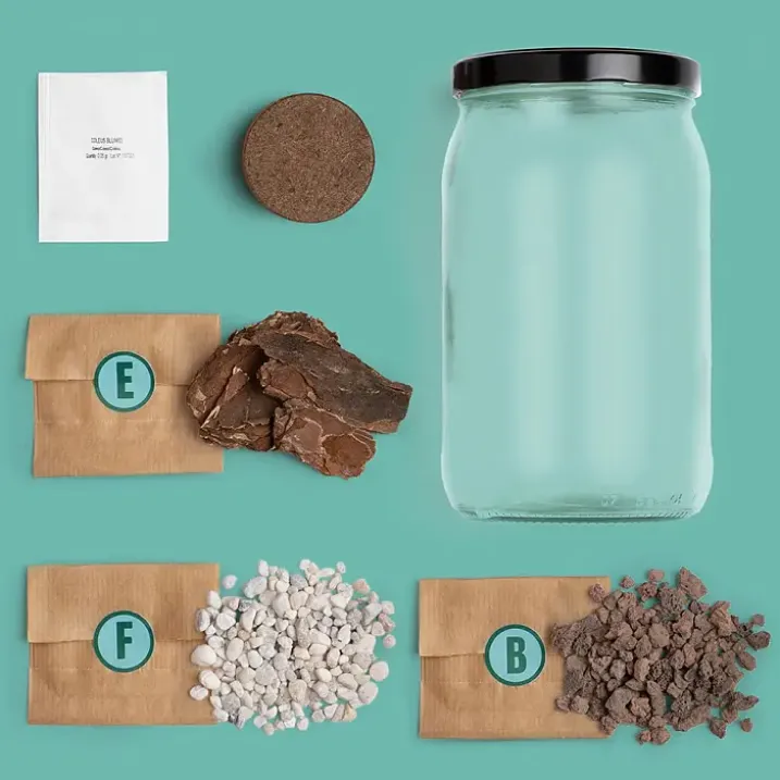 Kit para hacer un terrario