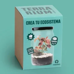 Kit para hacer un terrario
