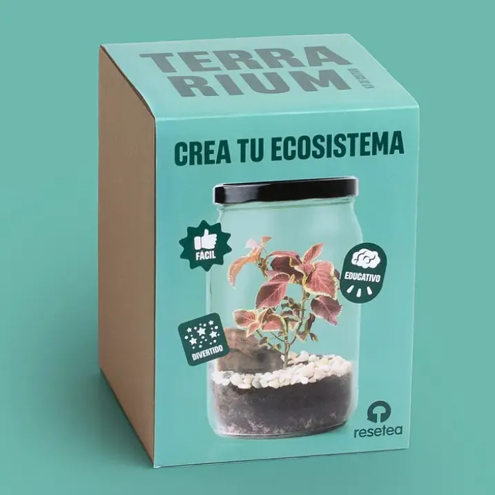 Kit para hacer un terrario