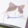 Librito Superpoderes de los gatos