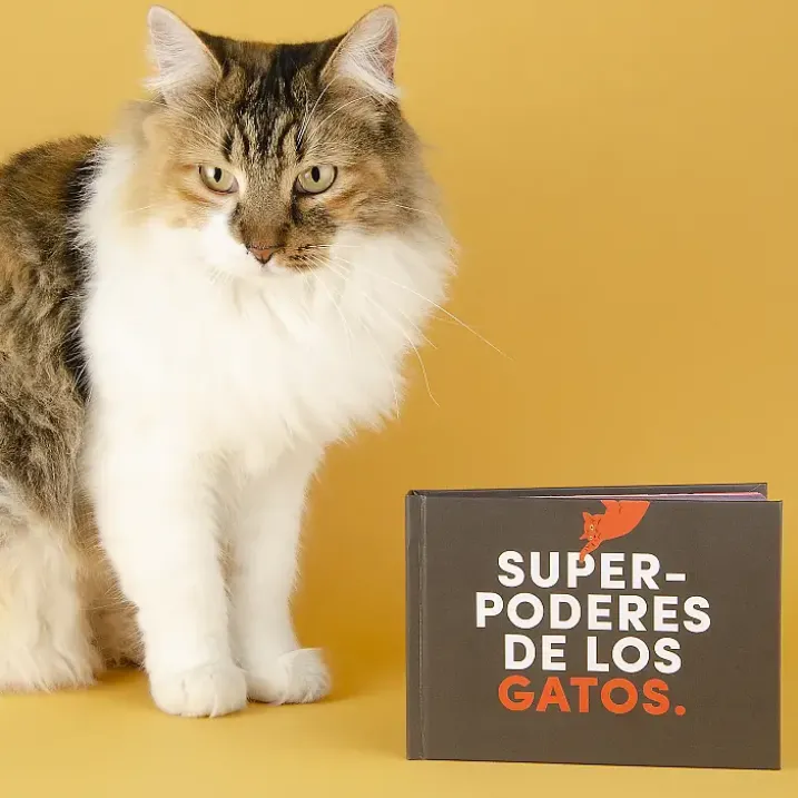 Librito Superpoderes de los gatos