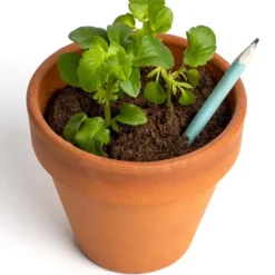 Lápices plantables