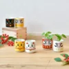 Lucky Plant, mini maceta con albahaca dulce muñeco Daruma