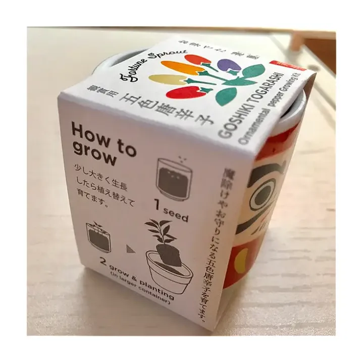 Lucky Plant, mini maceta con albahaca dulce muñeco Daruma