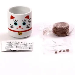 Lucky Plant, mini maceta con trébol blanco gato de la suerte