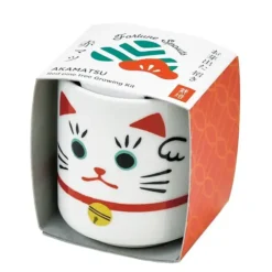 Lucky Plant, mini maceta con trébol blanco gato de la suerte