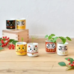 Lucky Plant, mini maceta con trébol blanco gato de la suerte
