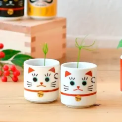Lucky Plant, mini maceta con trébol blanco gato de la suerte