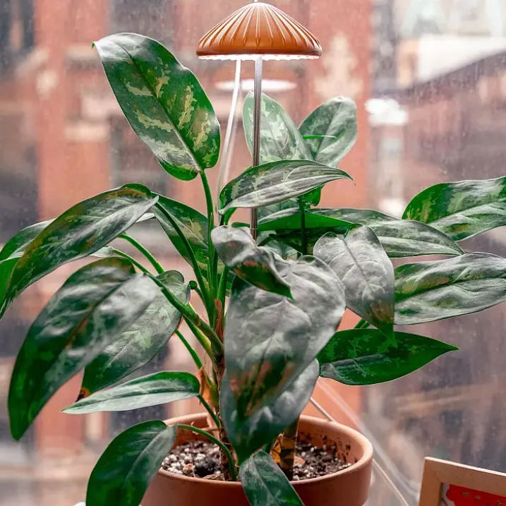 Luz para plantas en forma de seta