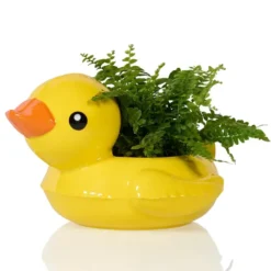 Maceta con forma de flotador