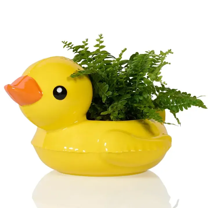 Maceta con forma de flotador