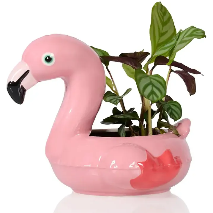 Maceta con forma de flotador