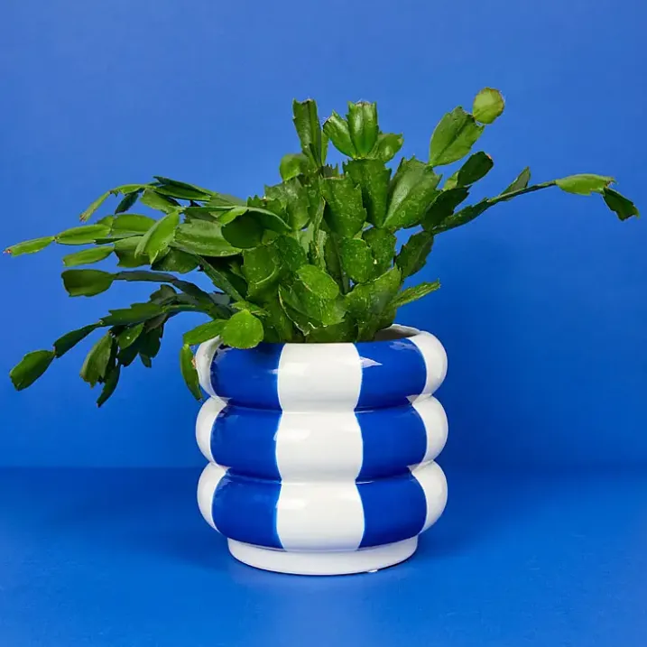 Maceta original con forma de flotador