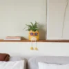 Maceta original Cool Cat