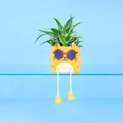 Maceta original Cool Cat