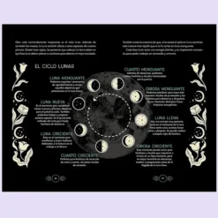 Manual de la bruja novata