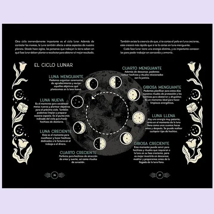 Manual de la bruja novata