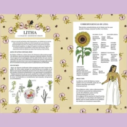 Mágicas: Guía ilustrada de magia de Carlotydes