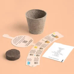 Mini kit de cultivo para niños: Mi primer cultivo