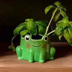 Mini maceta con forma de rana