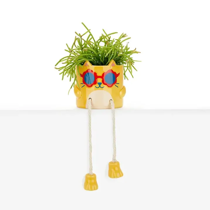 Mini maceta Cool Cat
