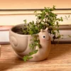 Mini maceta en forma de caracol
