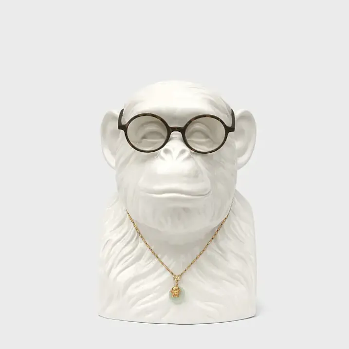Organizador de accesorios en forma de cabeza de chimpancé