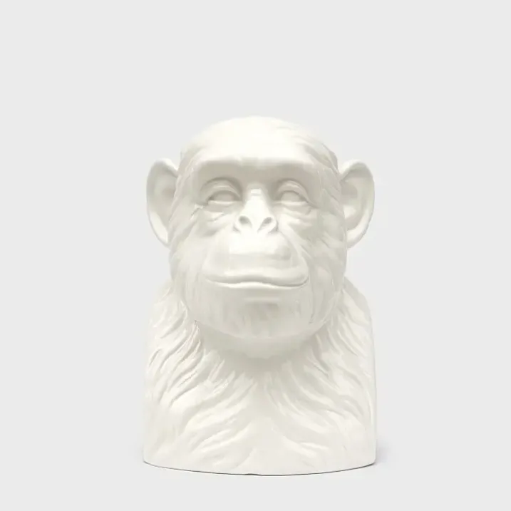 Organizador de accesorios en forma de cabeza de chimpancé