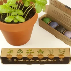 Pack de 6 bombas de semillas: flores o hierbas aromáticas