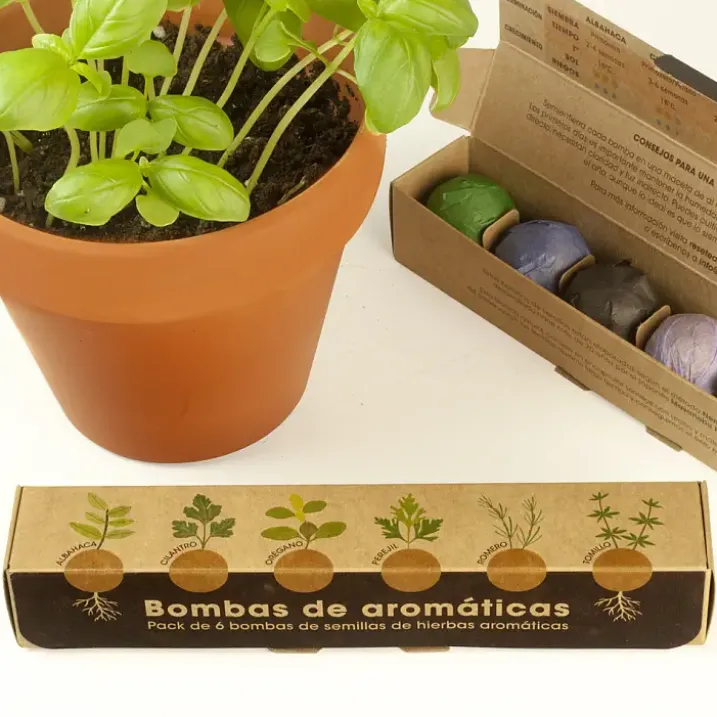 Pack de 6 bombas de semillas: flores o hierbas aromáticas