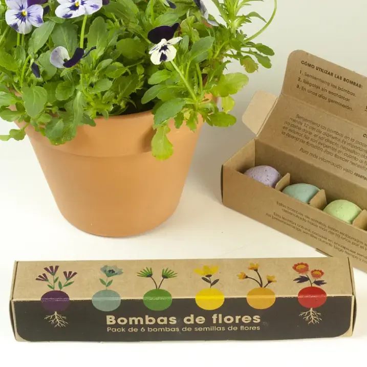 Pack de 6 bombas de semillas: flores o hierbas aromáticas