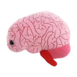 Peluche con forma de cerebro