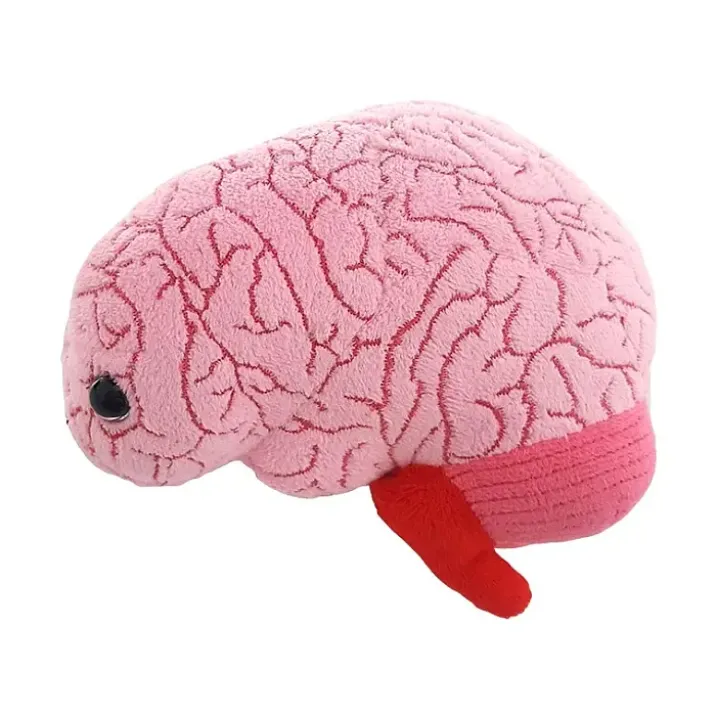 Peluche con forma de cerebro
