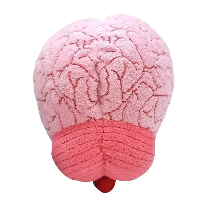 Peluche con forma de cerebro