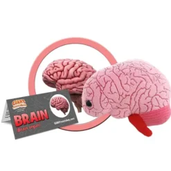 Peluche con forma de cerebro