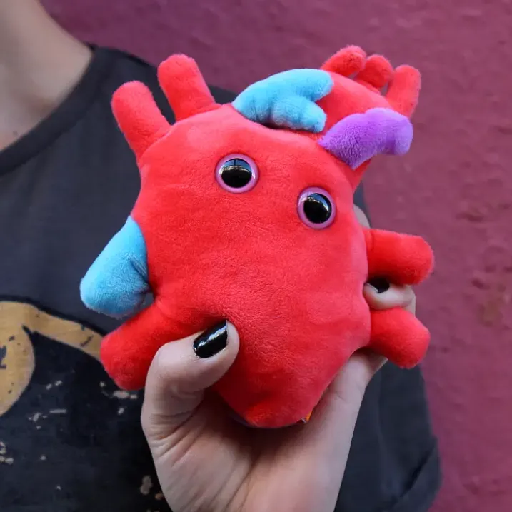 Peluche con forma de corazón anatómico