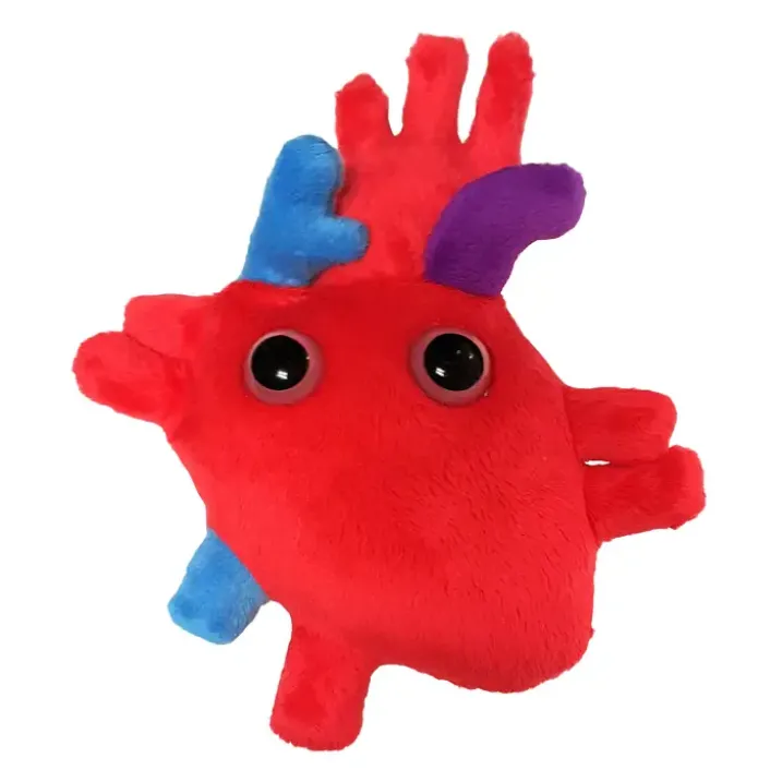 Peluche con forma de corazón anatómico