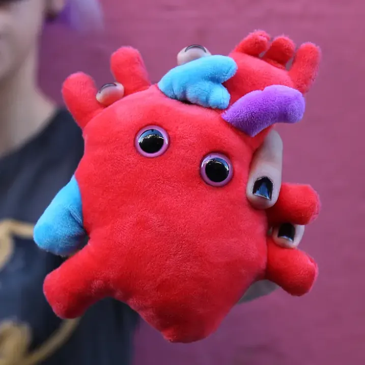 Peluche con forma de corazón anatómico