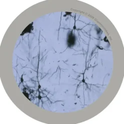 Peluche de Microbio Pequeño Neurona