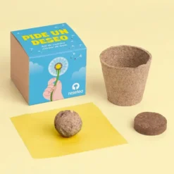 Pide un deseo. Kit de cultivo Diente de león