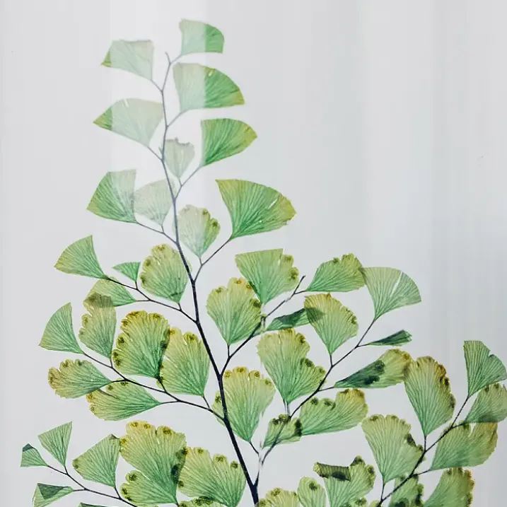 Planta preservada en tarrito de 12 cm